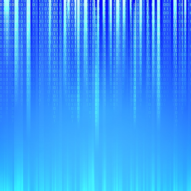 the binary code.