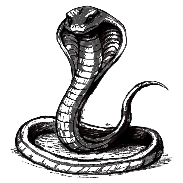 Python Coding Icon Vector Set