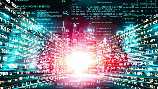 software development application programming code and tacit computer coding