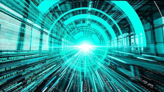 software development application programming code and tacit computer coding