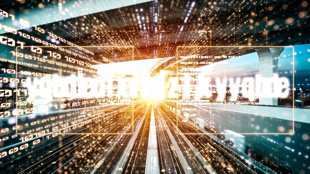 software development application programming code and tacit computer coding