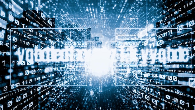 software development application programming code and tacit computer coding