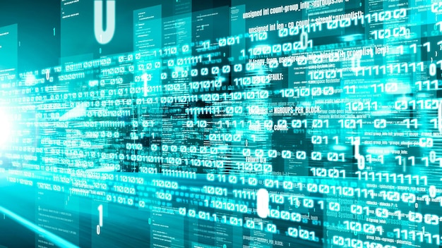 software development application programming code and tacit computer coding