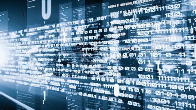 software development application programming code and tacit computer coding