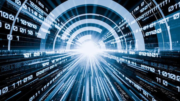 software development application programming code and tacit computer coding