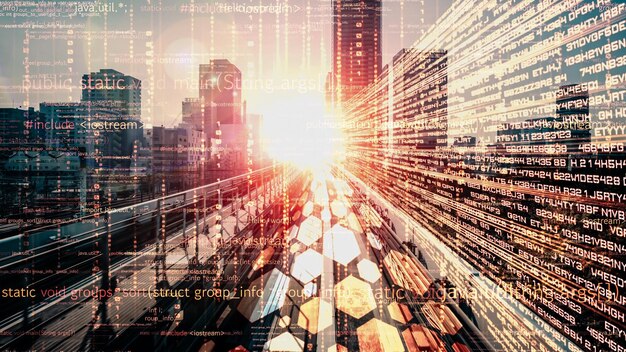 software development application programming code and tacit computer coding