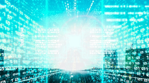 software development application programming code and tacit computer coding