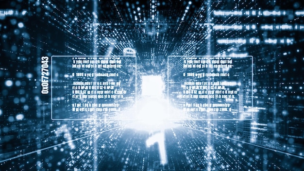 software development application programming code and tacit computer coding