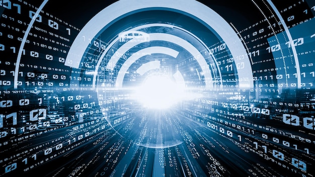 software development application programming code and tacit computer coding