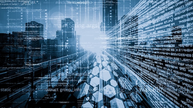 software development application programming code and tacit computer coding