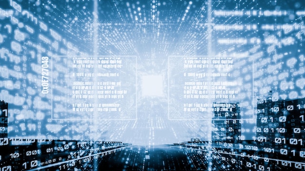 software development application programming code and tacit computer coding