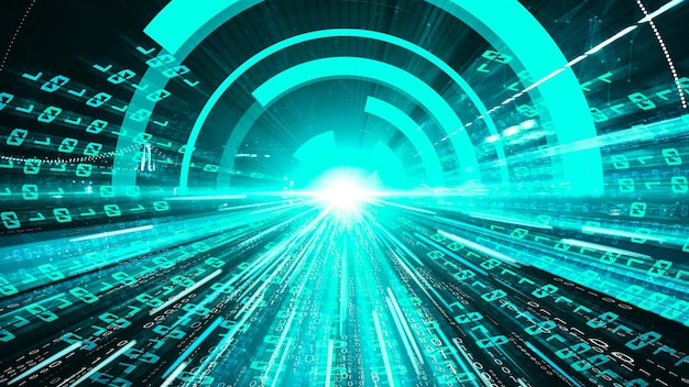software development application programming code and tacit computer coding