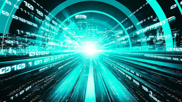 software development application programming code and tacit computer coding