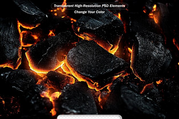 programming code abstract technology background of software developer and computer script