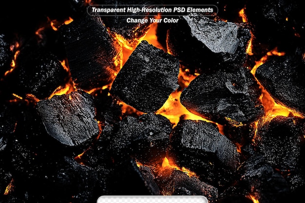 programming code abstract technology background of software developer and computer script
