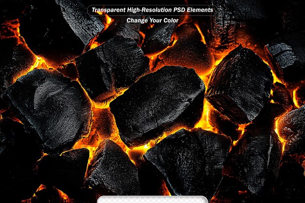 programming code abstract technology background of software developer and computer script