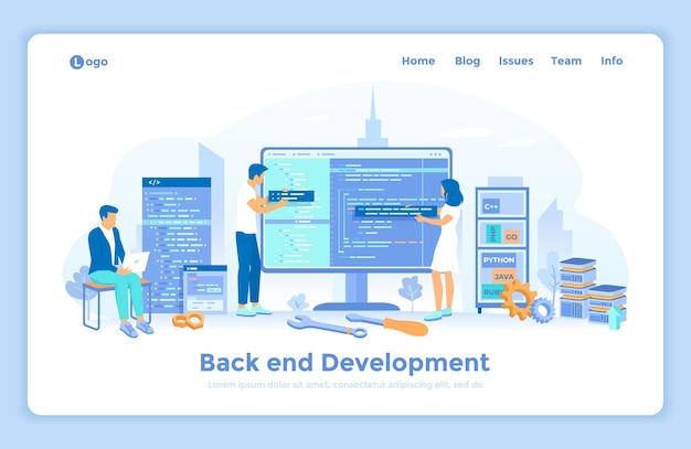 backend development coding testing software engineering programming languages team of programm
