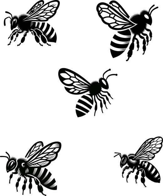 bee vector