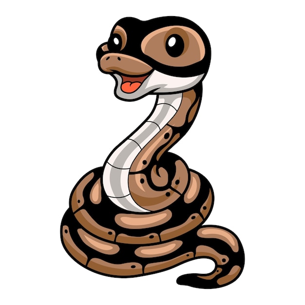cute ball python snake cartoon