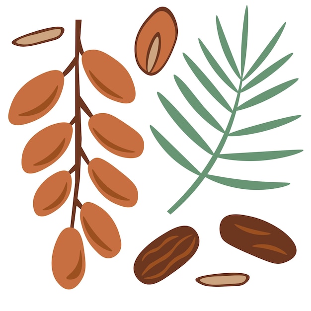 dates elements vector set