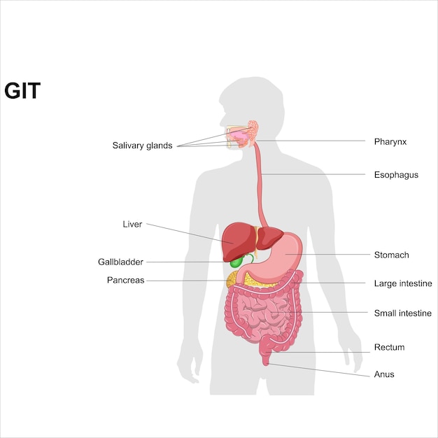 GIT 라벨을 붙였습니다.