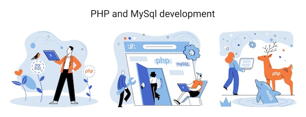 php and mysql development software website developer programmer service programming language