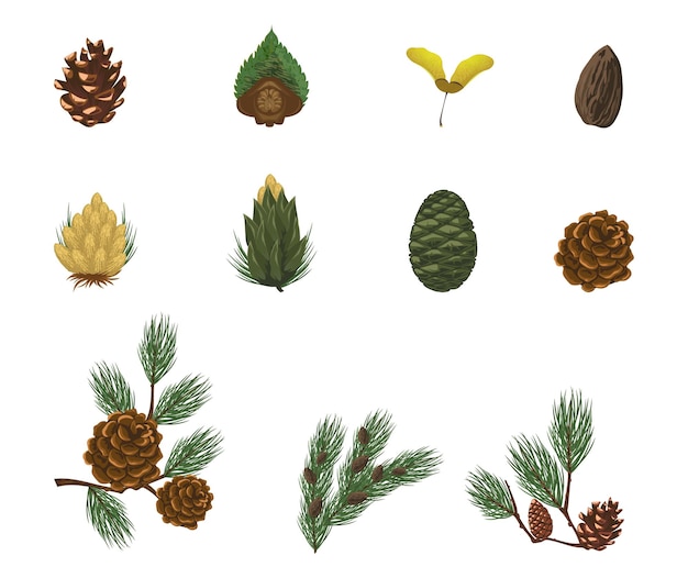 pine elements eaf vector bundle set