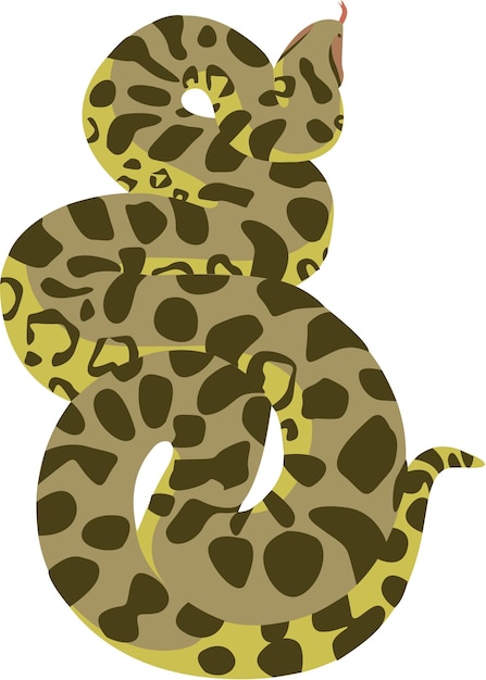 Python slang