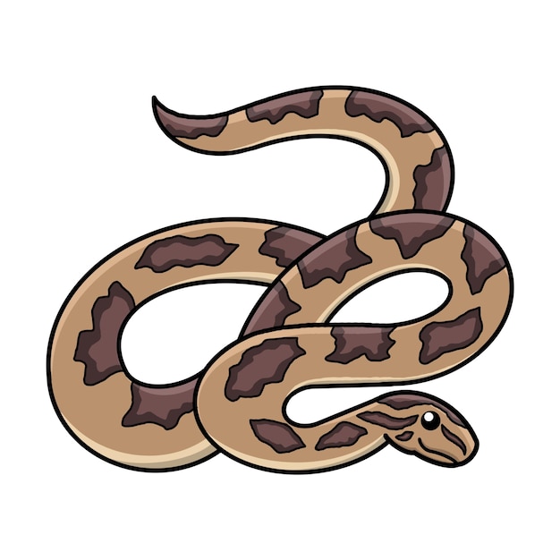 python vector illustration