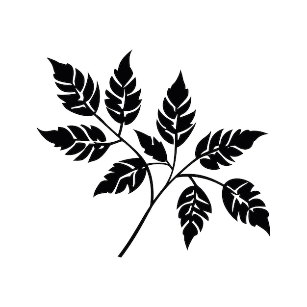 rustic vector elements
