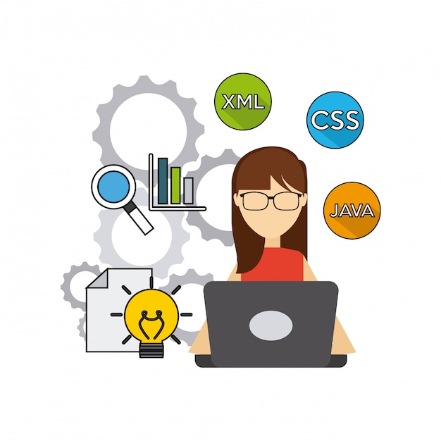 software developer and programmer