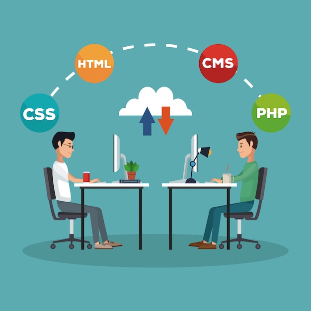 software and programming