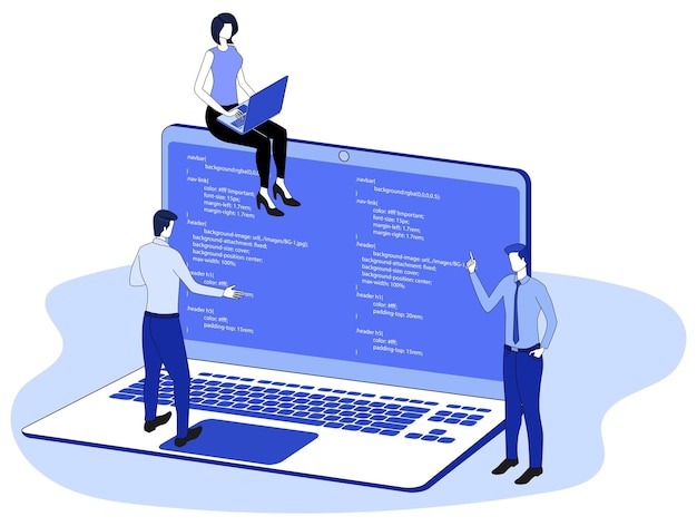 web developmentcoding and programming of the website and applicationssoftware and responsive design