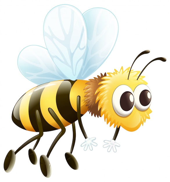 Una abeja