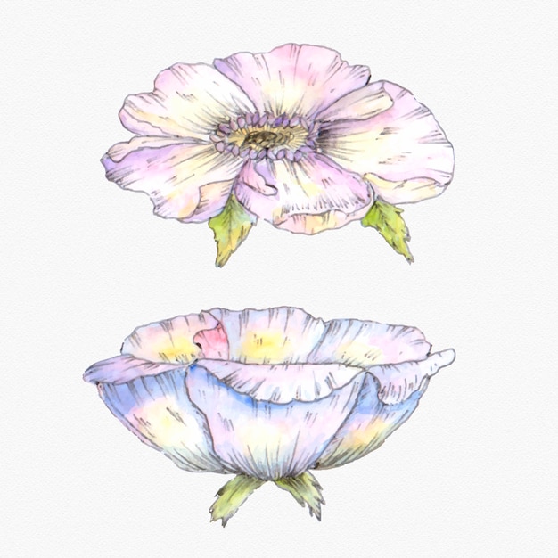 Las flores.